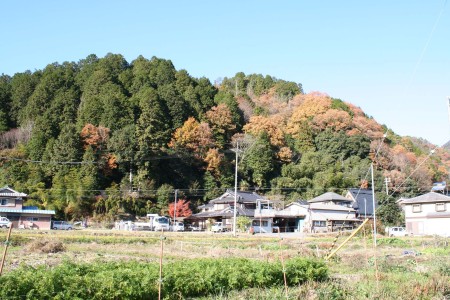 04-07-Annokaichi